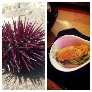 Sea Urchin! This was WILD! I was a bit terrified but it tasted surprisingly sweet. Did not love the texture but glad I tried it!